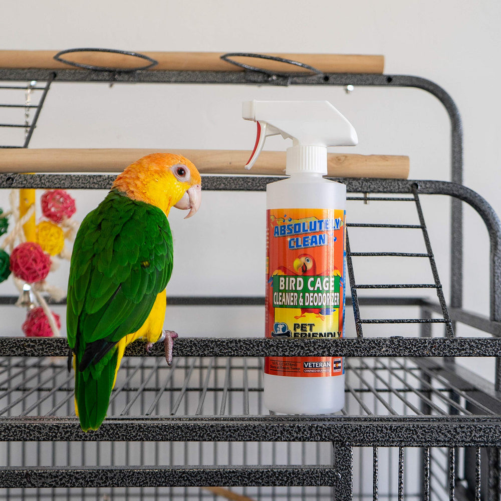 Absolutely Clean Bird Cage Cleaner before and after stain removal