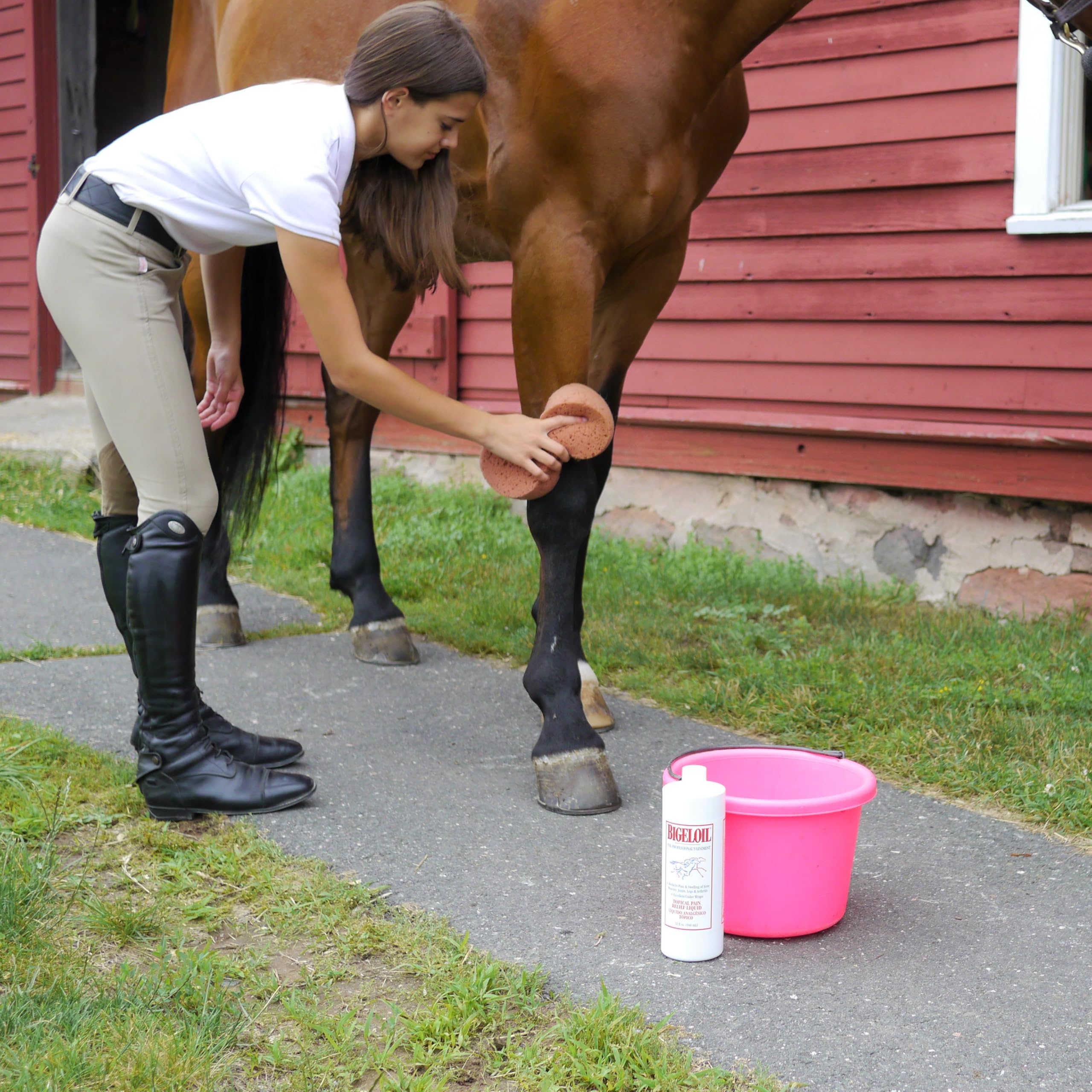 Absorbine Bigeloil Liniment with herbal scent ideal after exercise.