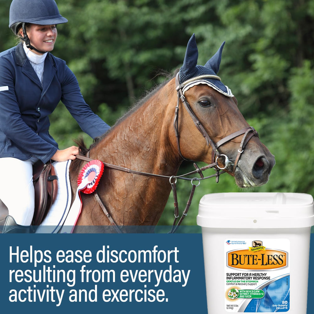 Absorbine Bute-Less 80-day supply box front view for long-term comfort.