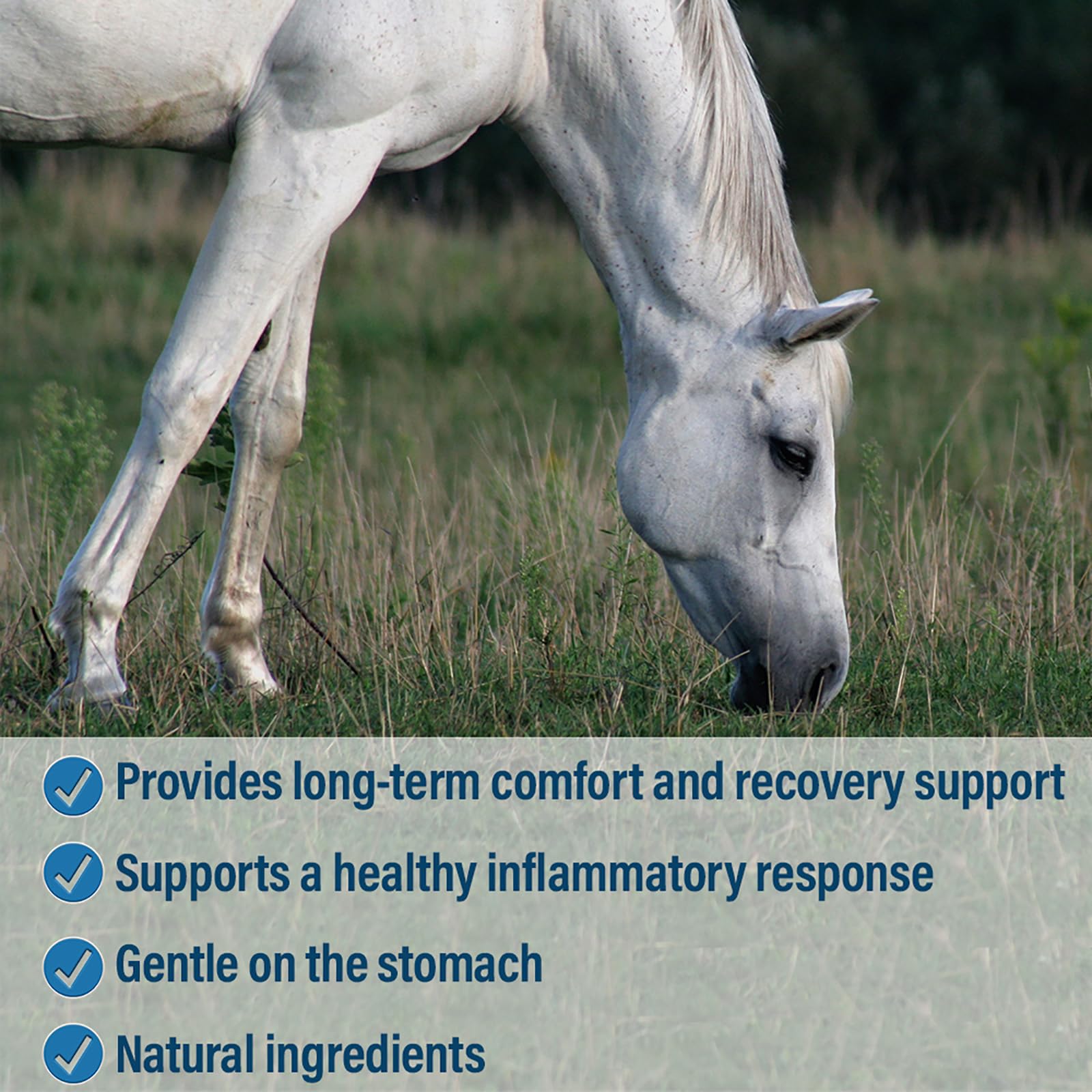 Absorbine Bute-Less pellets dispense detail highlighting easy dosing.