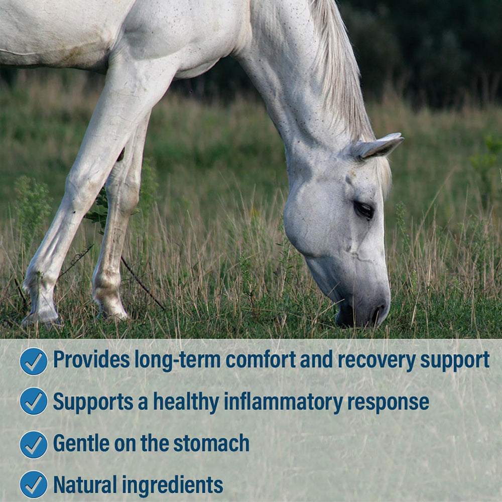 Absorbine Bute-Less pellets dispense detail highlighting easy dosing.