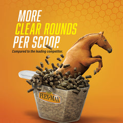 Absorbine Flex+Max 10lb tub image illustrating packaging and a 60-day plan.