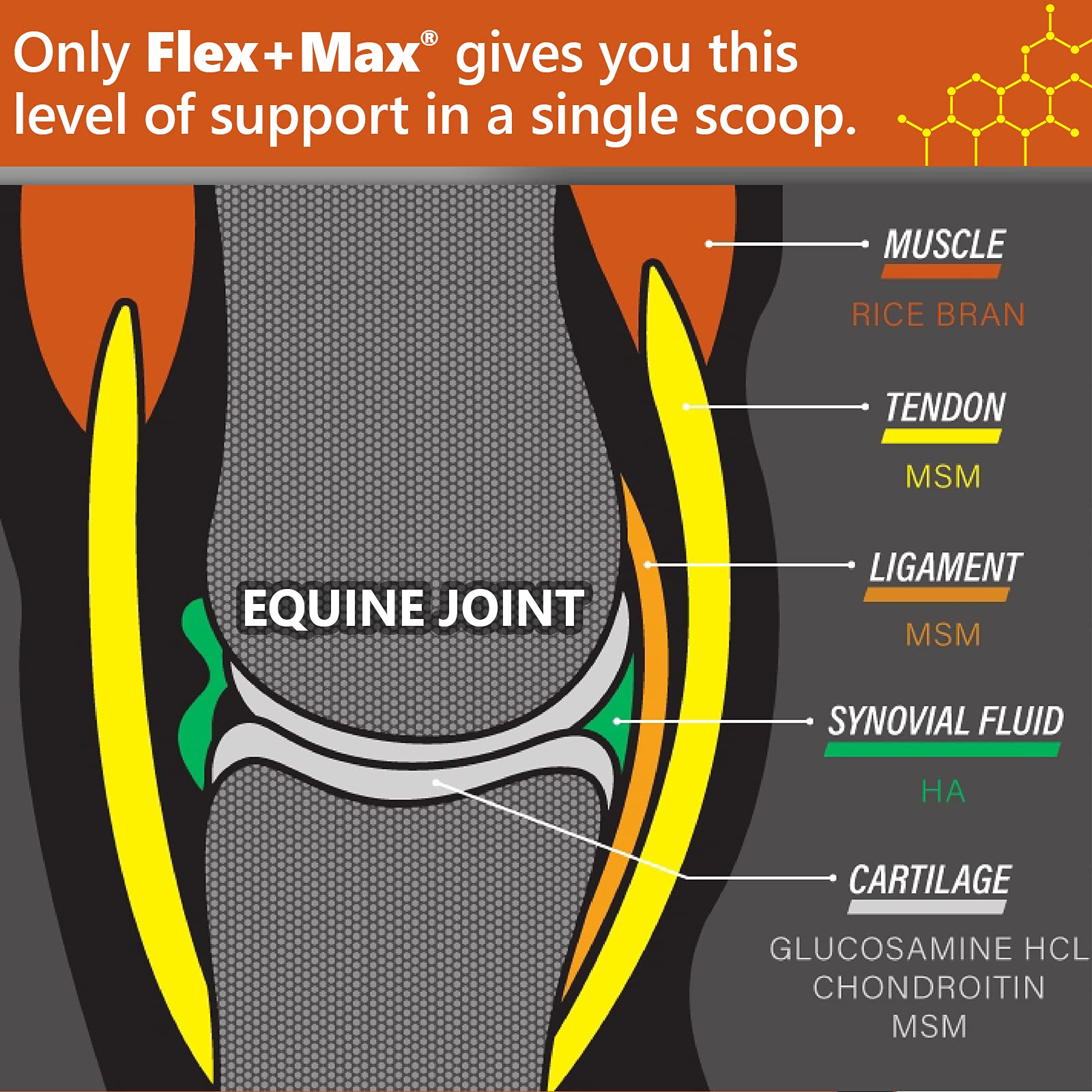 Close-up of Absorbine Flex+Max pellet texture and appearance