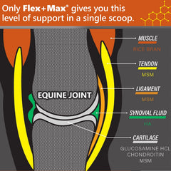 Close-up of Absorbine Flex+Max pellet texture and appearance
