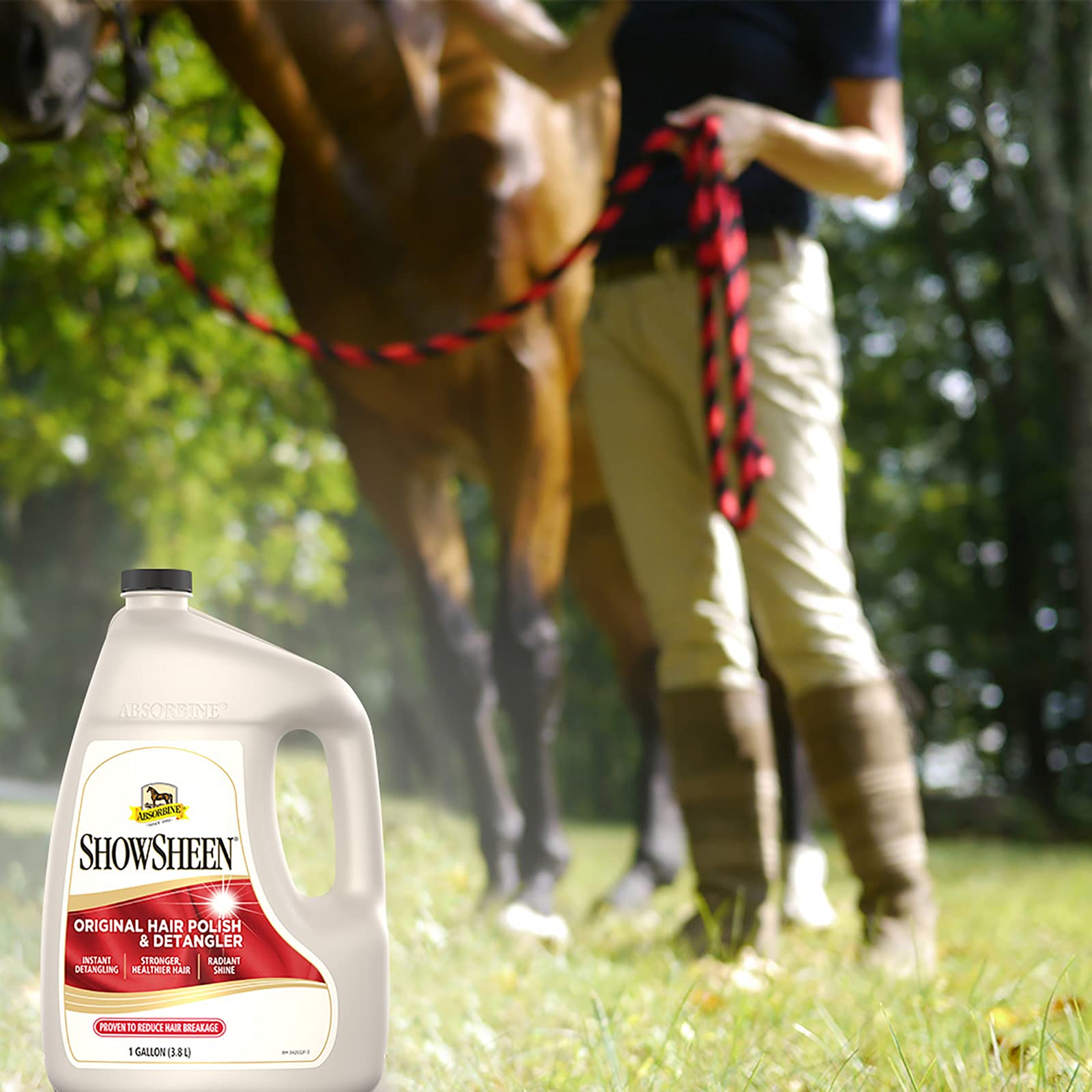 Absorbine ShowSheen bottle beside grooming tools for protection