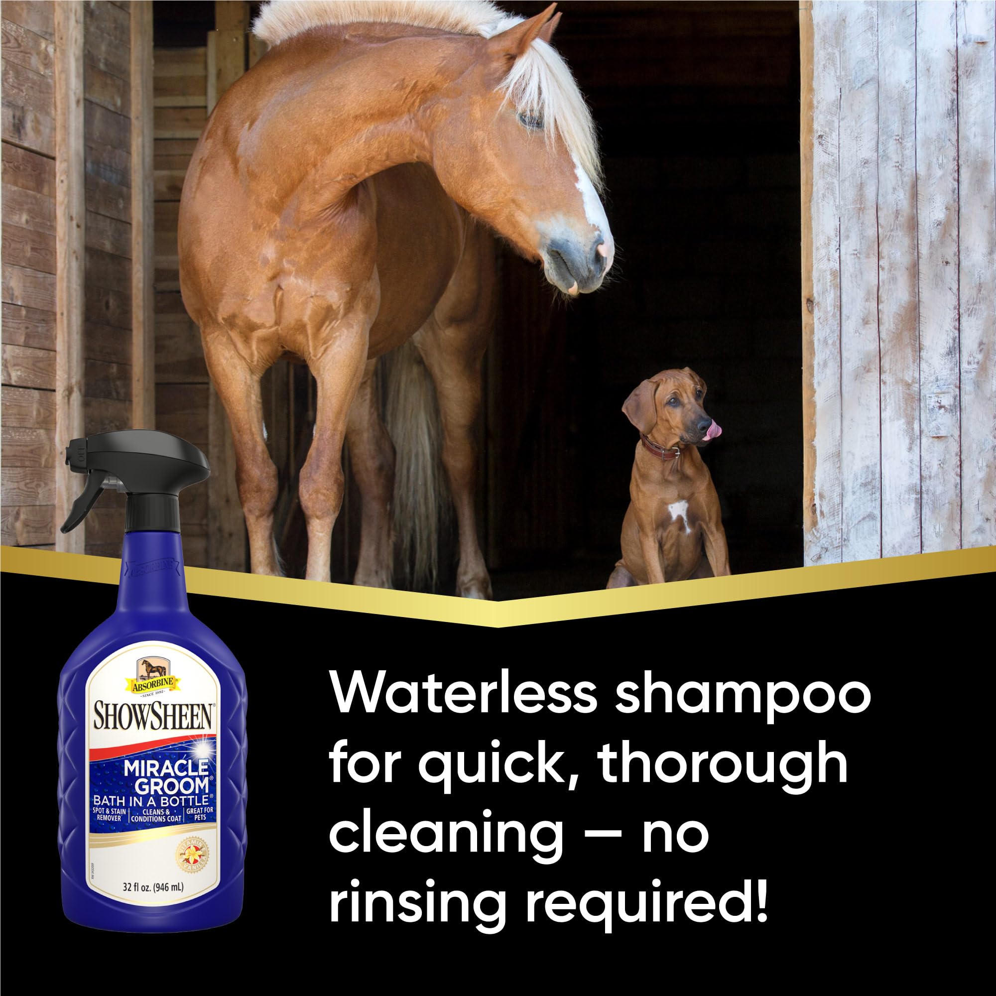 Absorbine ShowSheen Miracle Groom lifts dirt and brightens color without rinsing.