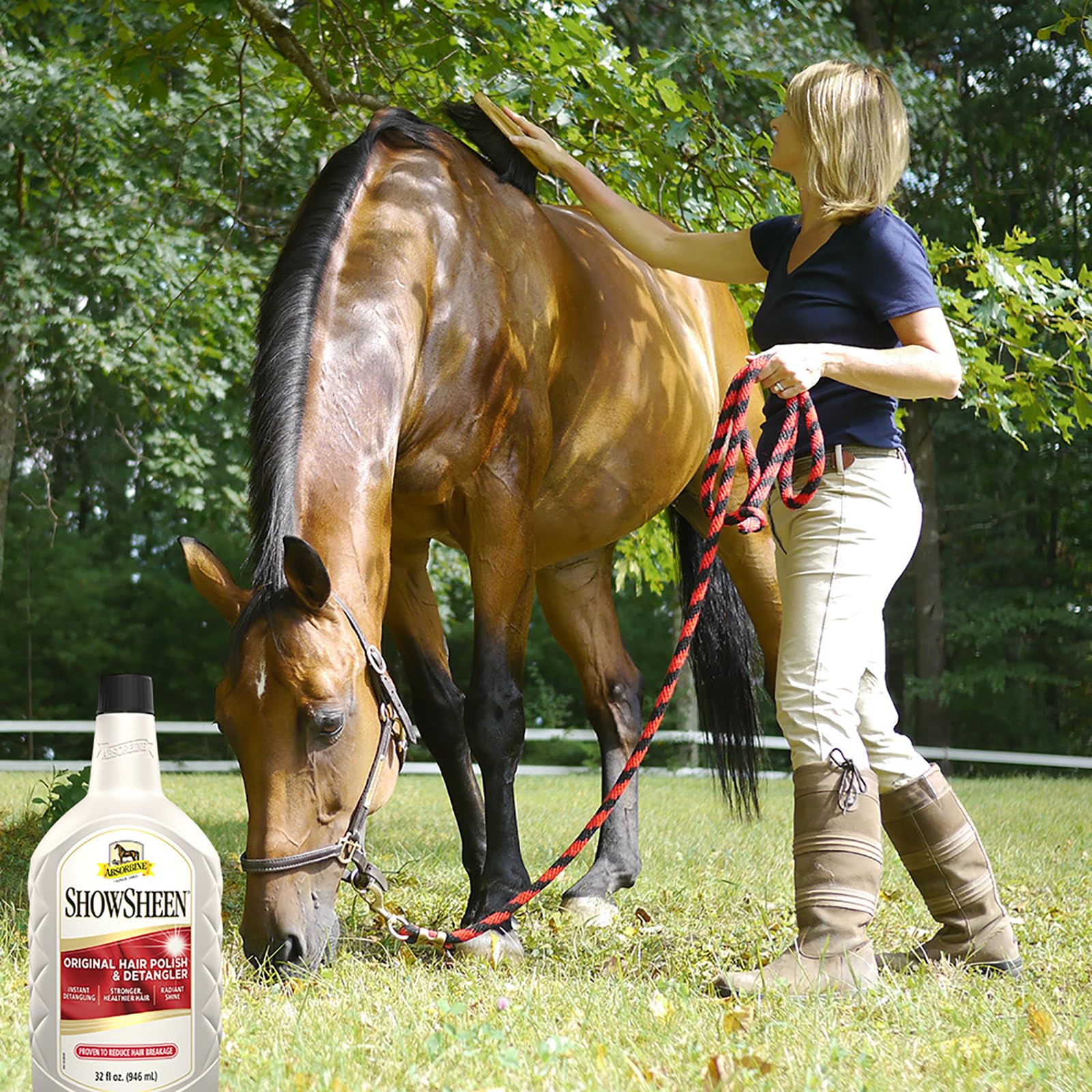 Absorbine ShowSheen being applied for radiant shine and smooth coat