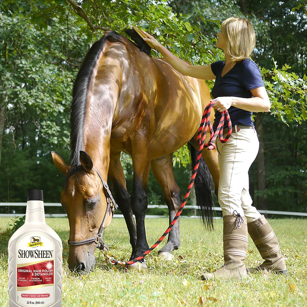 Absorbine ShowSheen being applied for radiant shine and smooth coat