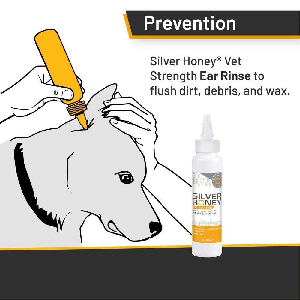 Absorbine Silver Honey ear rinse being poured for gentle cleansing.