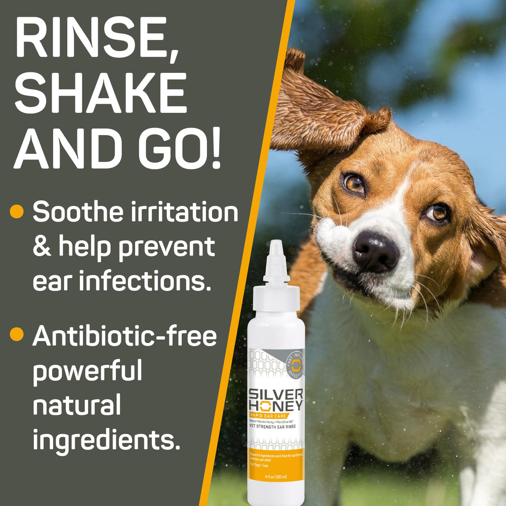 Absorbine Silver Honey ear rinse used on a cat's ears.
