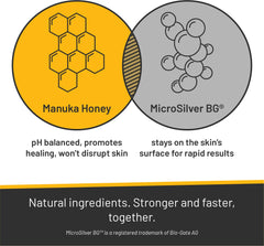 Absorbine Silver Honey ear rinse applied to a dog's ears.