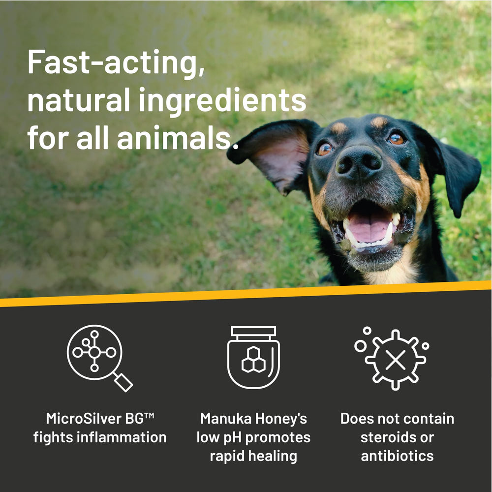 Absorbine Silver Honey with MicroSilver BG for healthier ear upkeep.