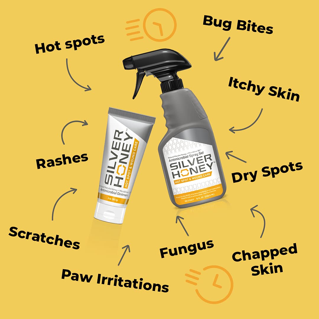 Applying Absorbine Silver Honey ointment to a paw irritation