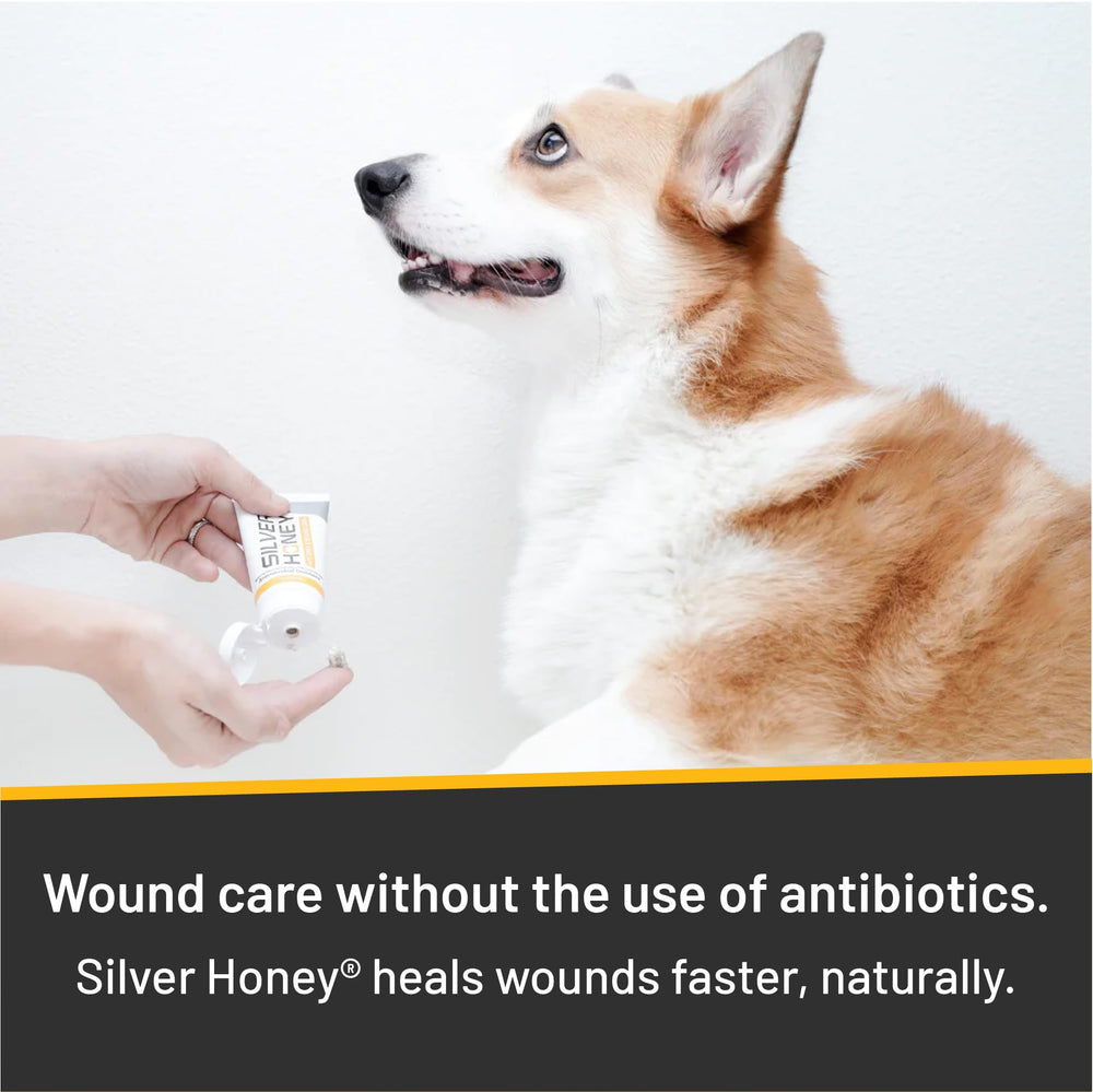 Absorbine Silver Honey ointment helps soothe a rash