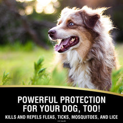 Absorbine UltraShield EX keeps barns and premises insect-free for peace of mind.