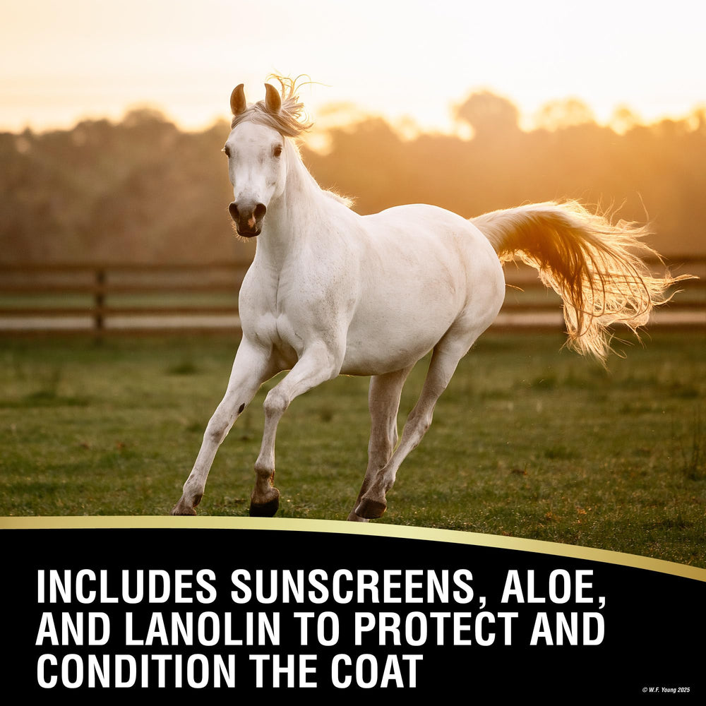 Applying UltraShield EX on a horse leg to deter flies and pests.