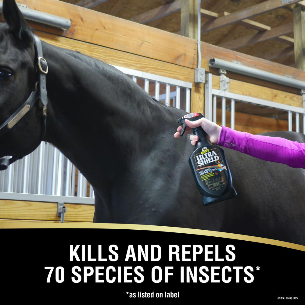 UltraShield EX mist spray demonstrates easy application for pest protection.