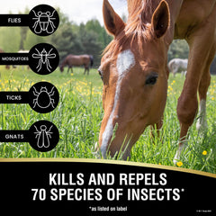 Absorbine UltraShield EX spray on horse coat provides long-lasting repellent and conditioning.