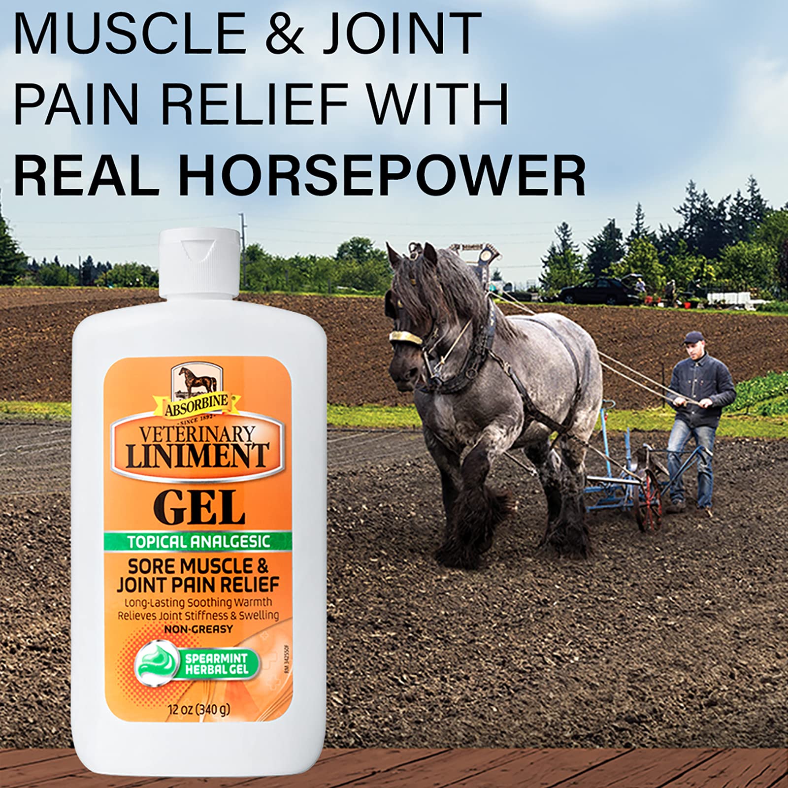 Absorbine Veterinary Liniment Menthol-scent gel helps relax joints during workouts