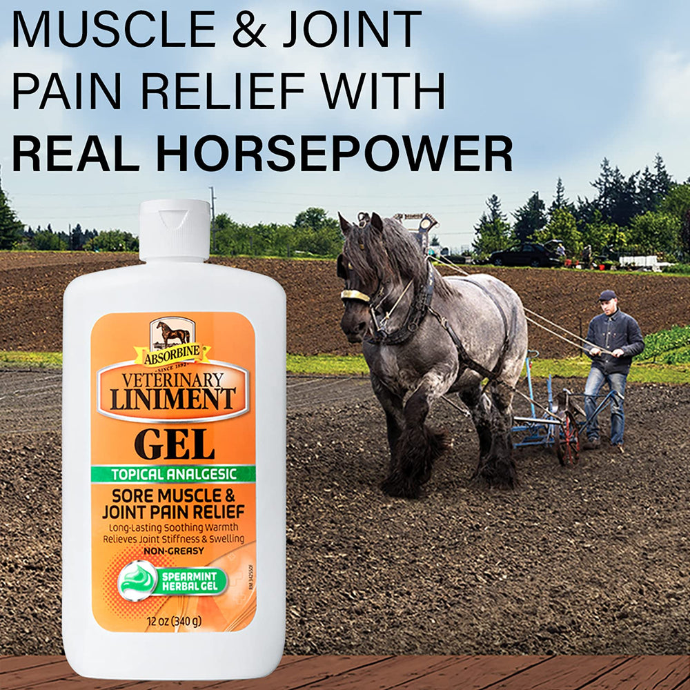 Absorbine Veterinary Liniment Menthol-scent gel helps relax joints during workouts