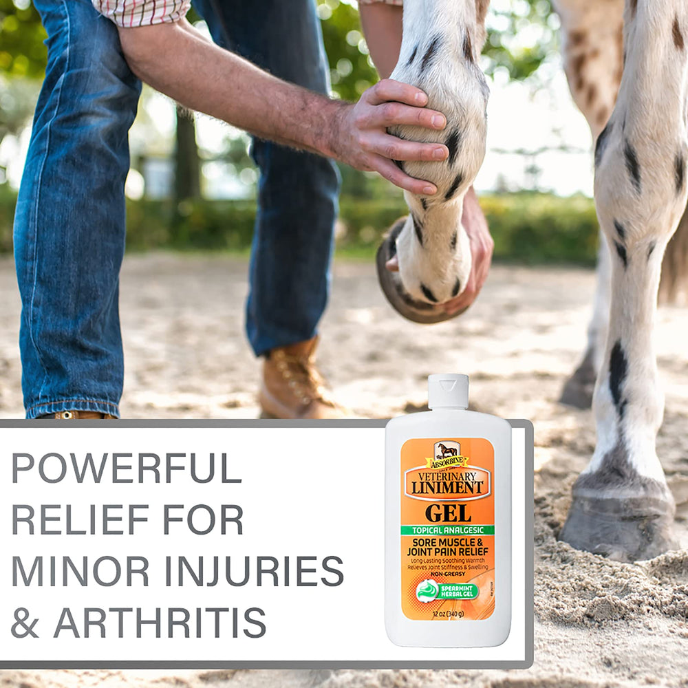 Absorbine Veterinary Liniment 12oz gel packaging for reliable at-home use