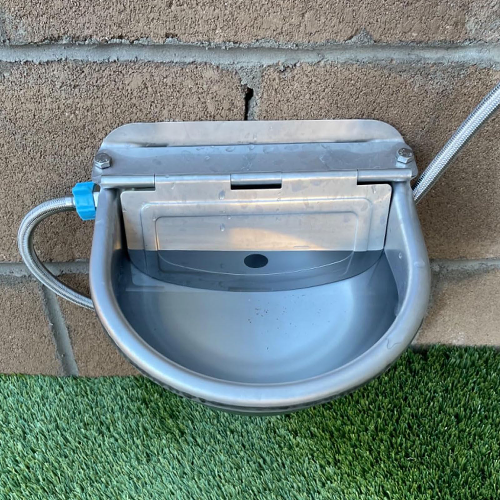 Water bowl setup showing hose connection not included.