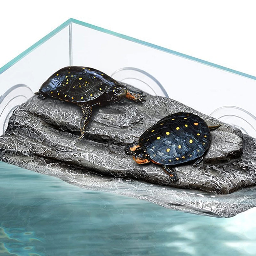 Abustle pig platform features natural rock texture to prevent slipping.