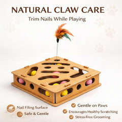 Acaine nail file pad surface supports gentle claw maintenance during play.