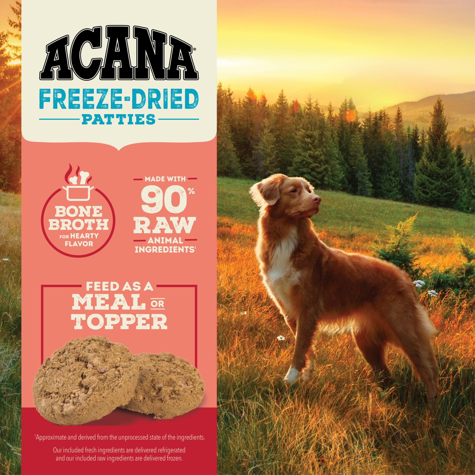ACANA bone broth-infused patties close-up showing flavorful coating.
