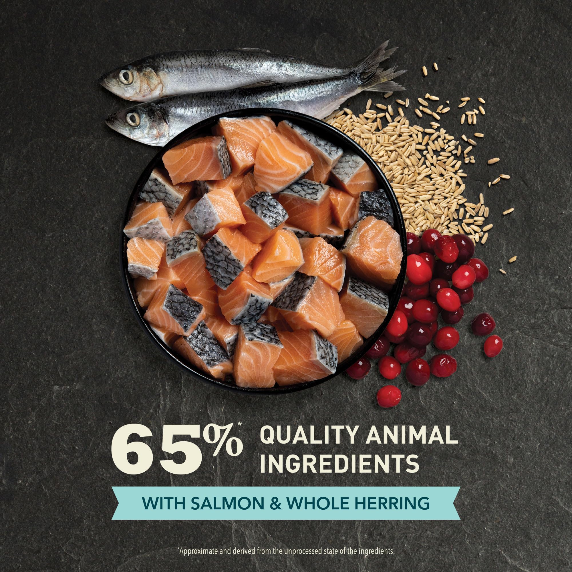 ACANA high-protein kibble supporting active adult cats