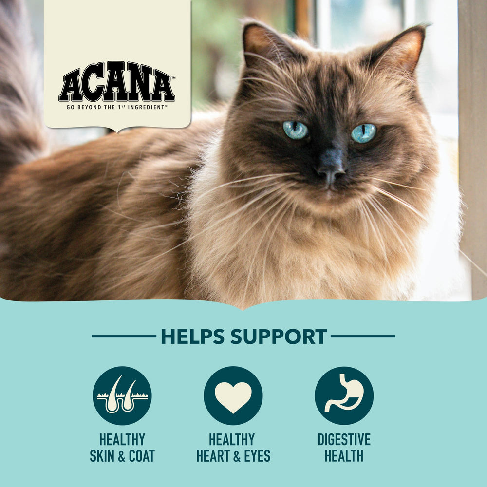 ACANA Bountiful Catch whole herring chunks in dry cat food for protein-rich nutrition.