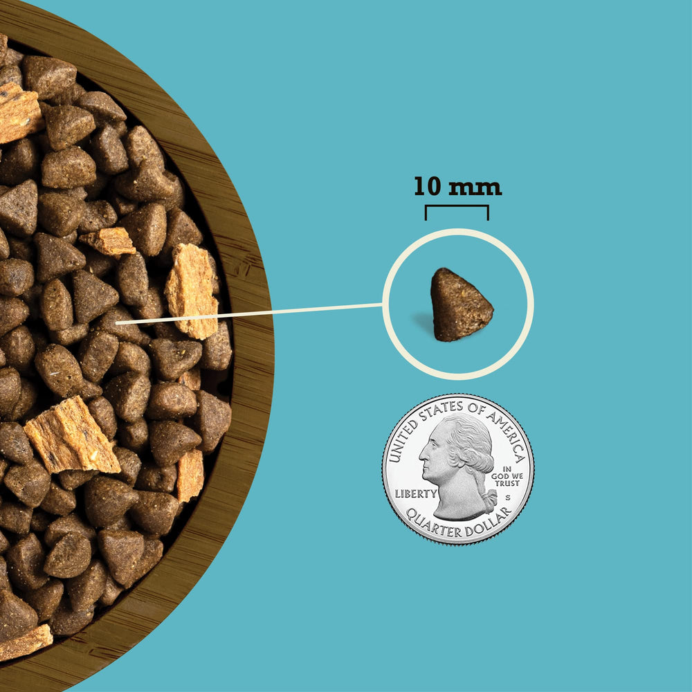 ACANA wild-caught salmon dry dog food illustrating healthy weight concept