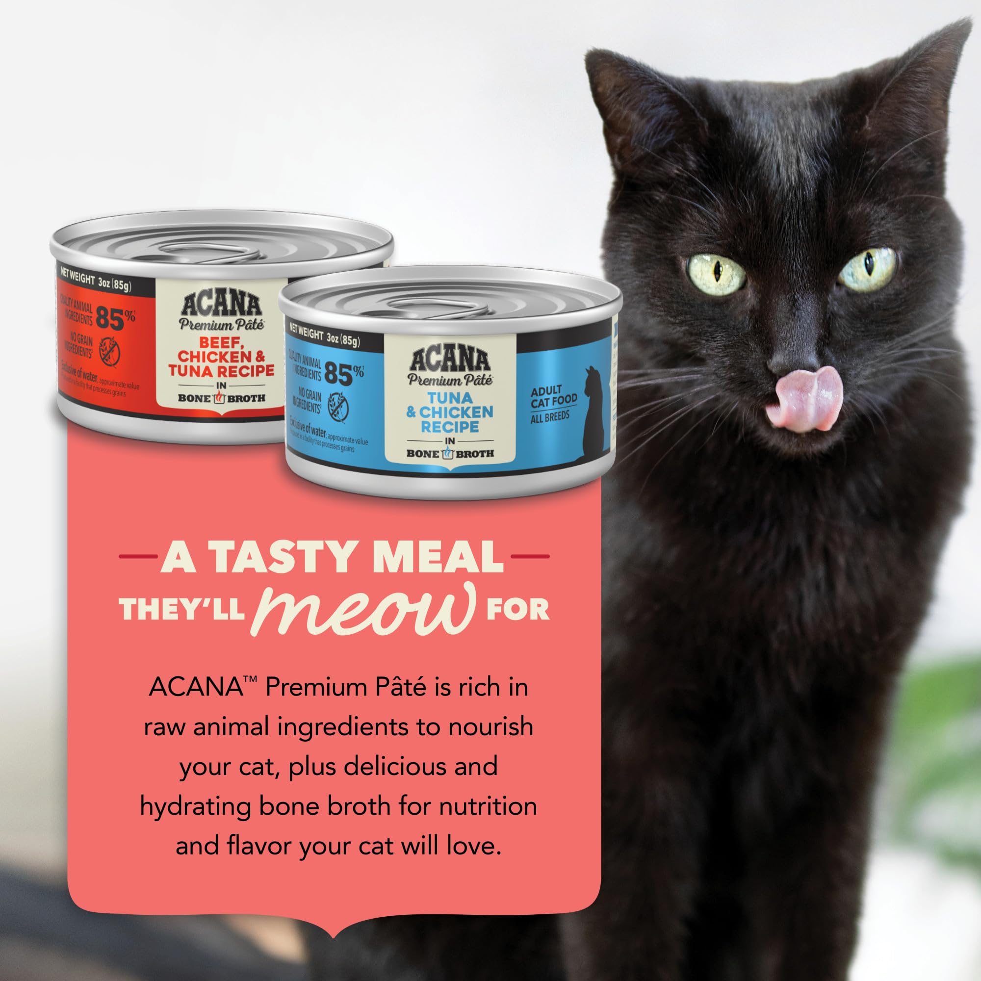 ACANA cat enjoying pate texture delights cats at mealtime.