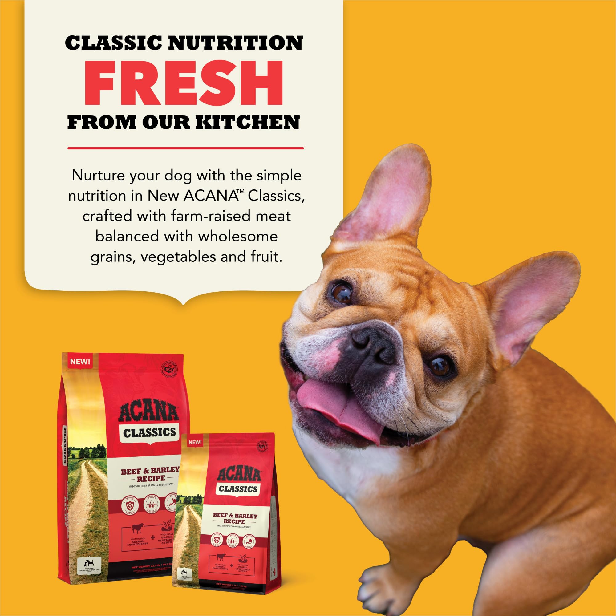 ACANA Omega fatty acids close-up illustrating skin and coat nourishment