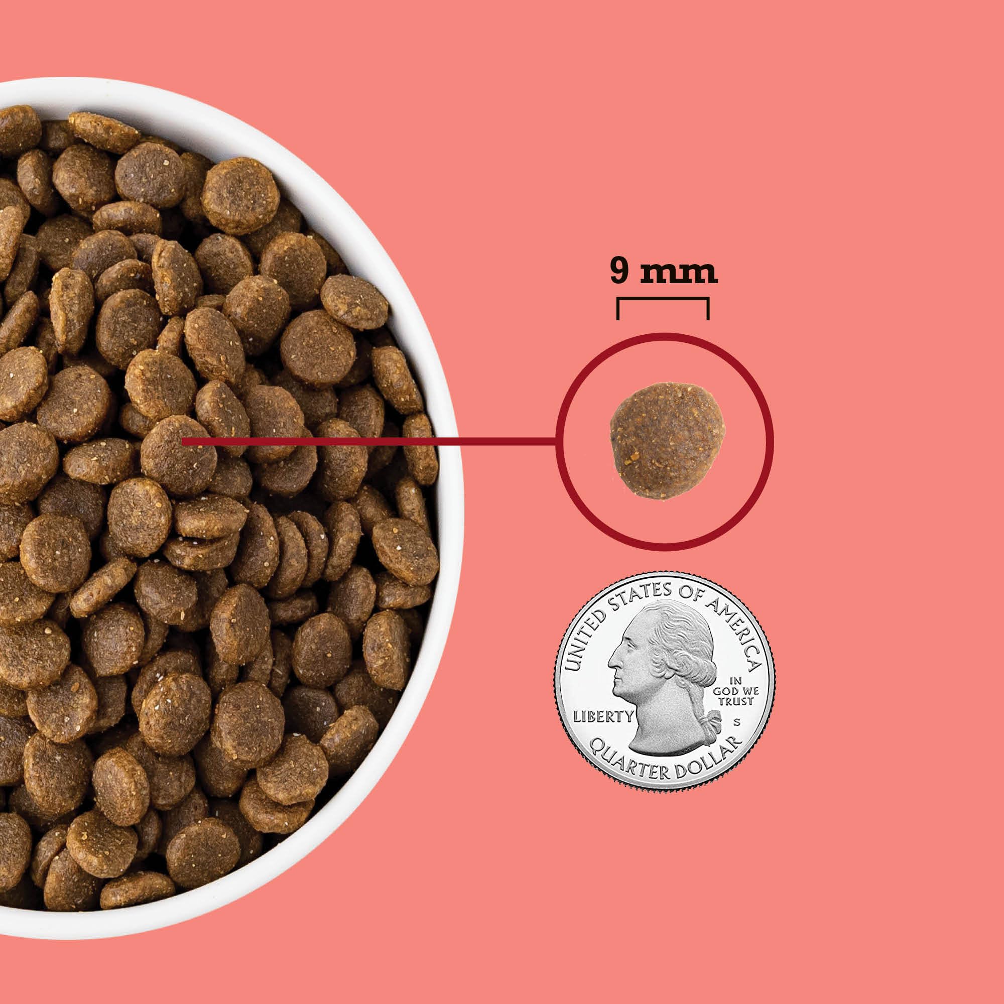 ACANA digestive health focus with probiotics and fiber for cat digestion.