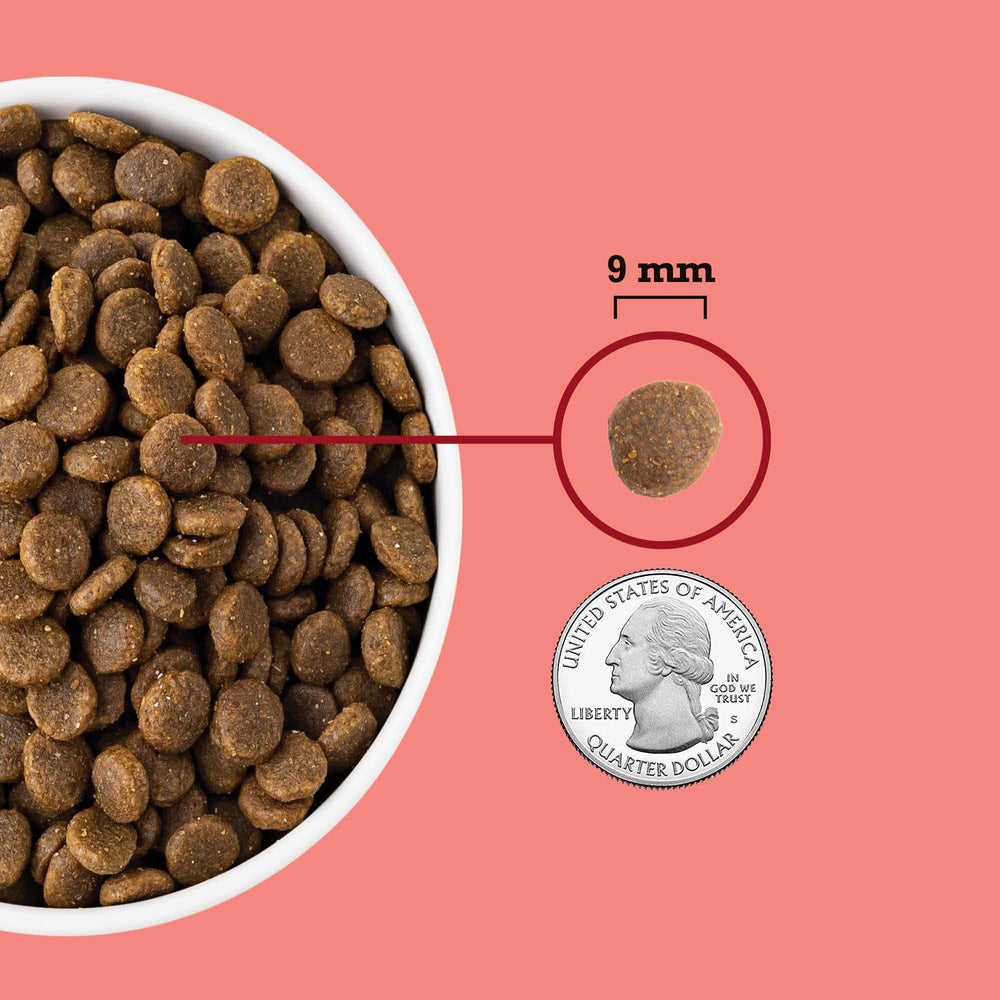 ACANA digestive health focus with probiotics and fiber for cat digestion.