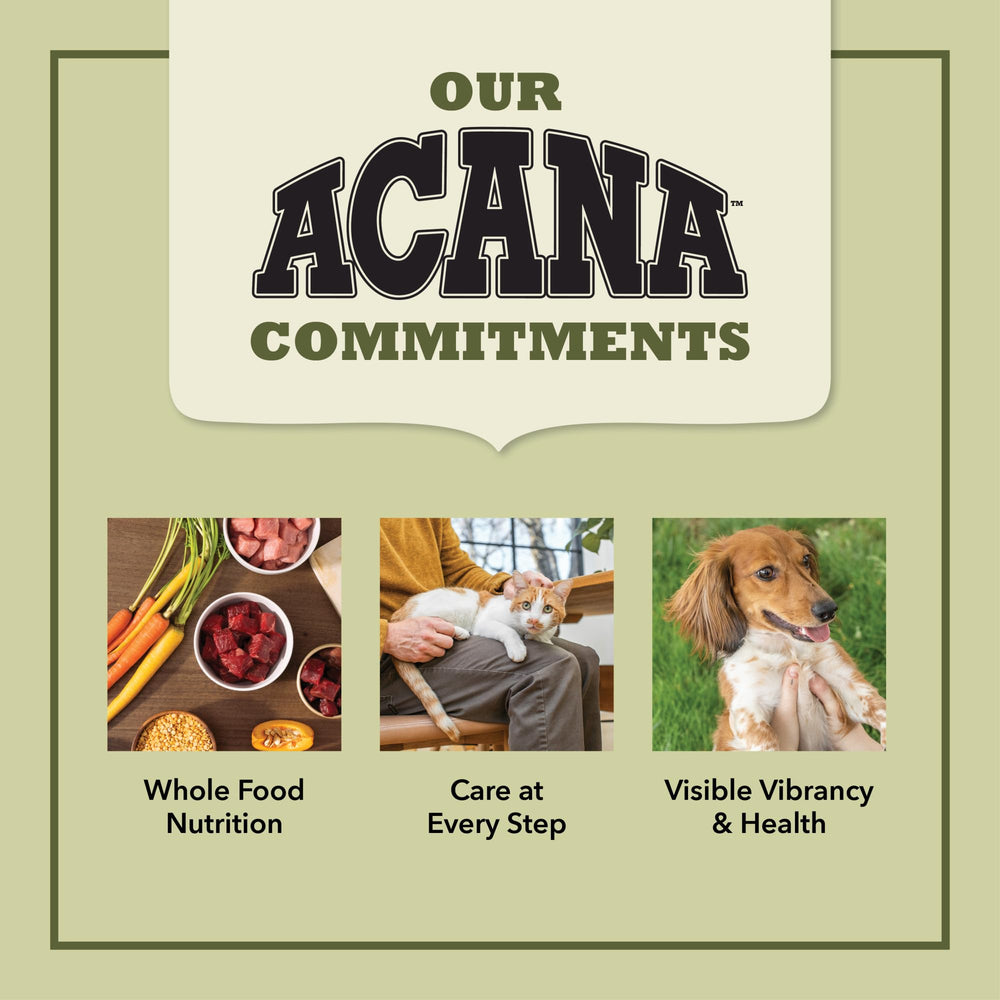 ACANA feeding bowl with grain-free kibble ready to serve.