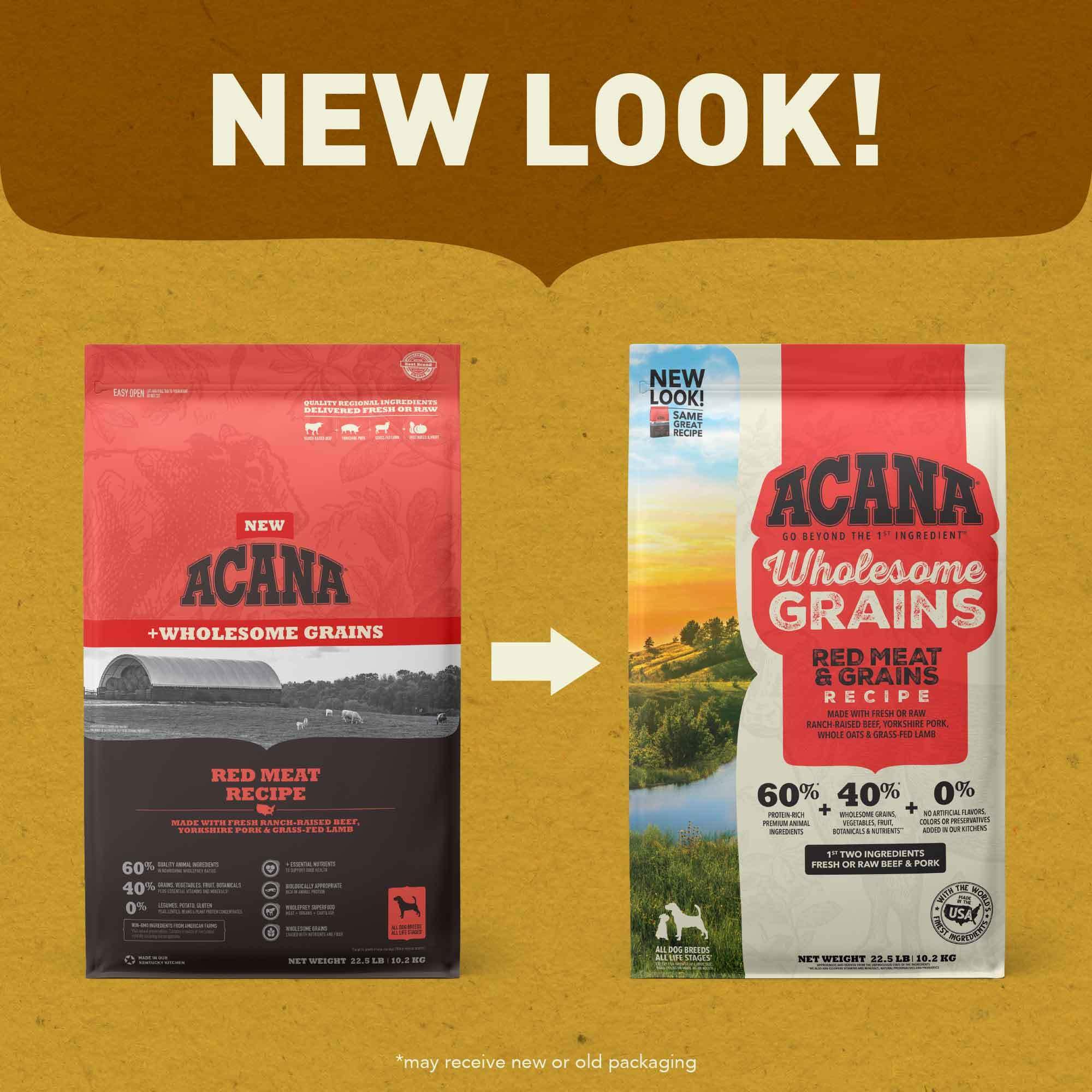ACANA fiber-rich grains texture with oats and millet closeup