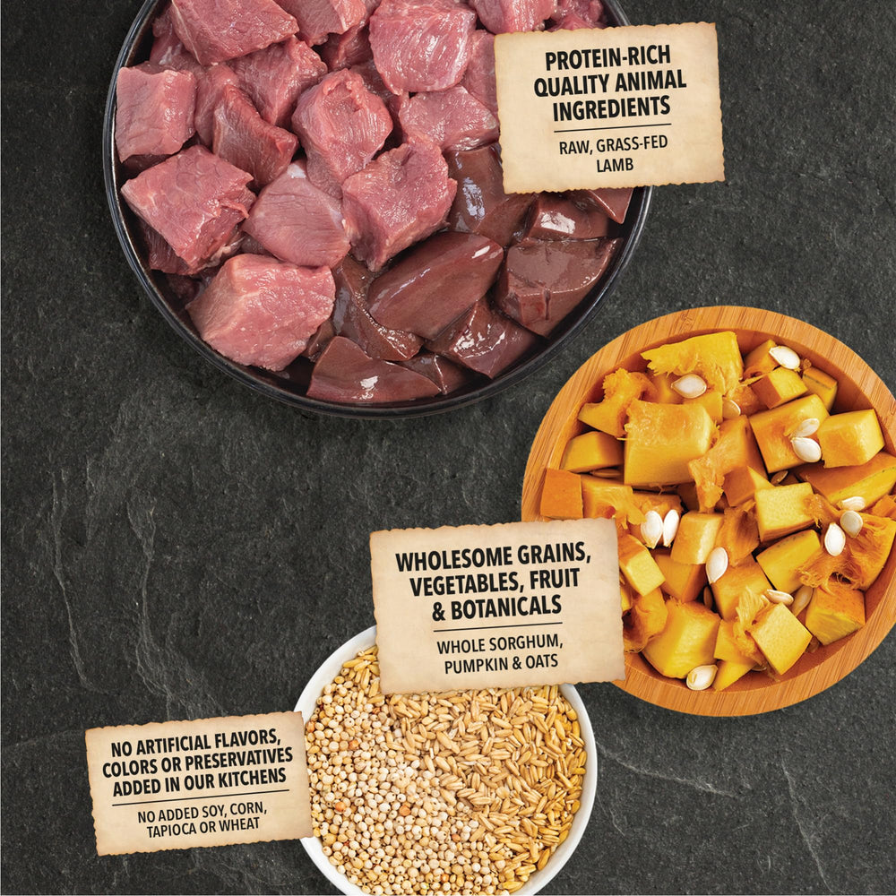 ACANA fiber-rich grain blend image conveys oats, sorghum, and millet for digestion.