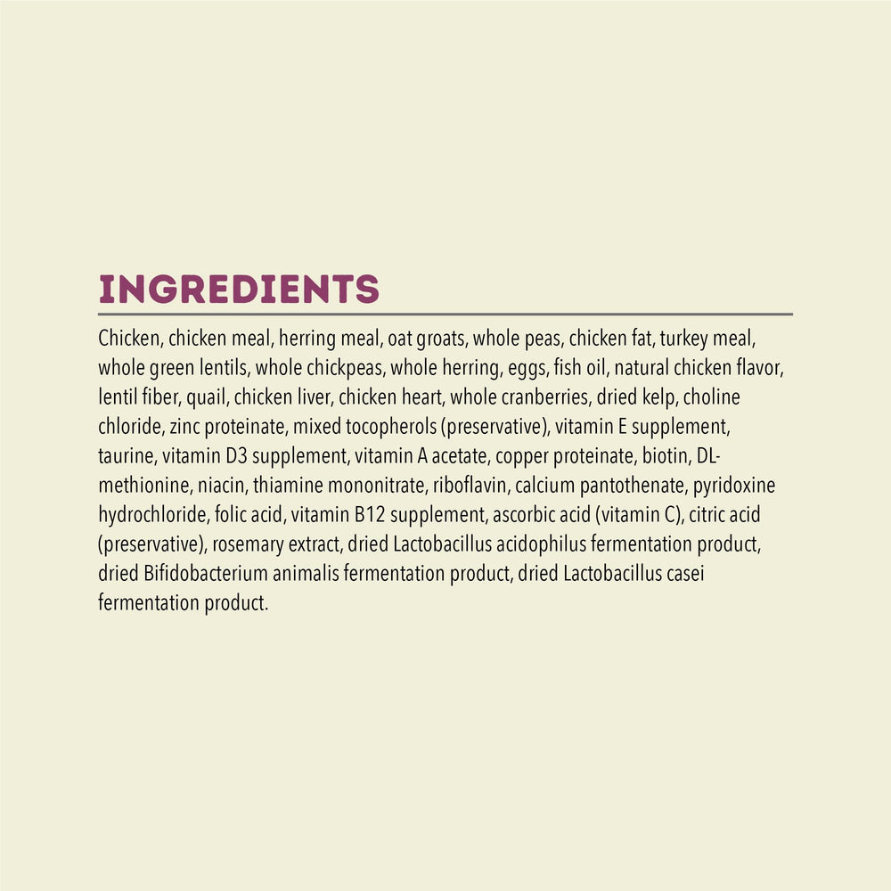 Bag label shows grain-free recipe with no artificial flavors or preservatives.