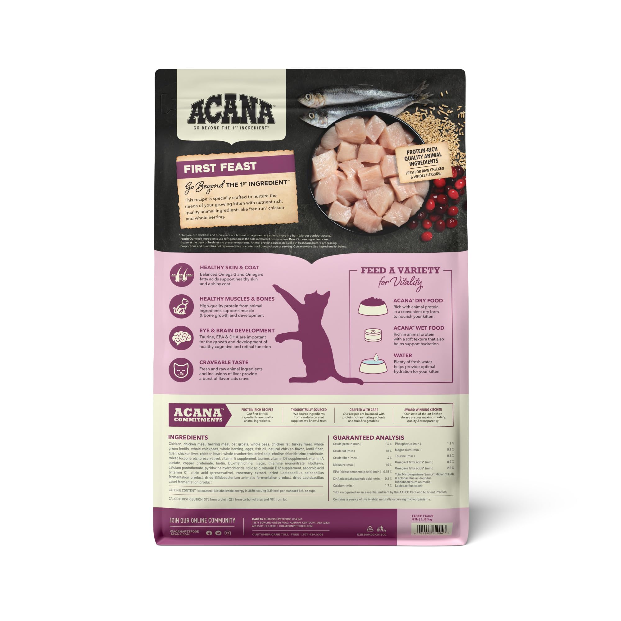 ACANA First Feast kitten kibble close-up highlighting high-protein bites