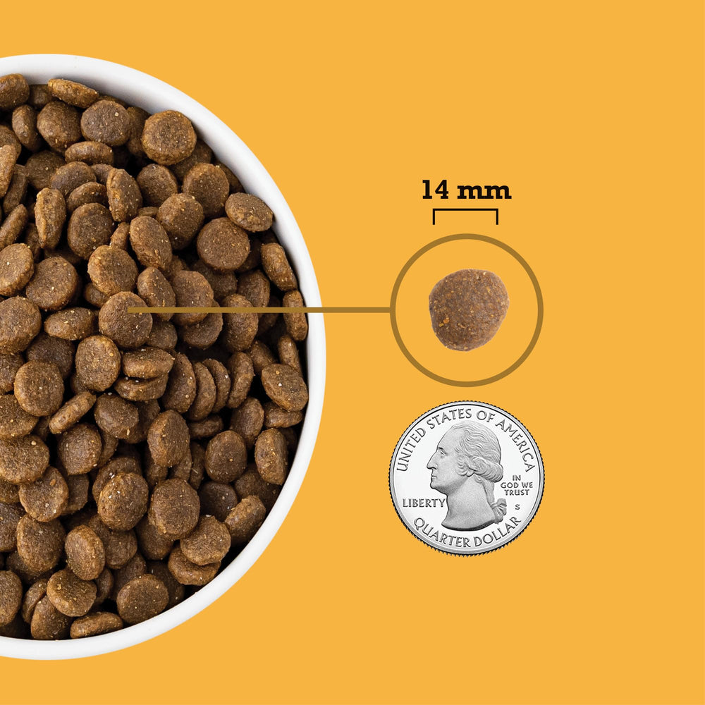 Dog enjoys ACANA kibble from bowl for healthy weight support