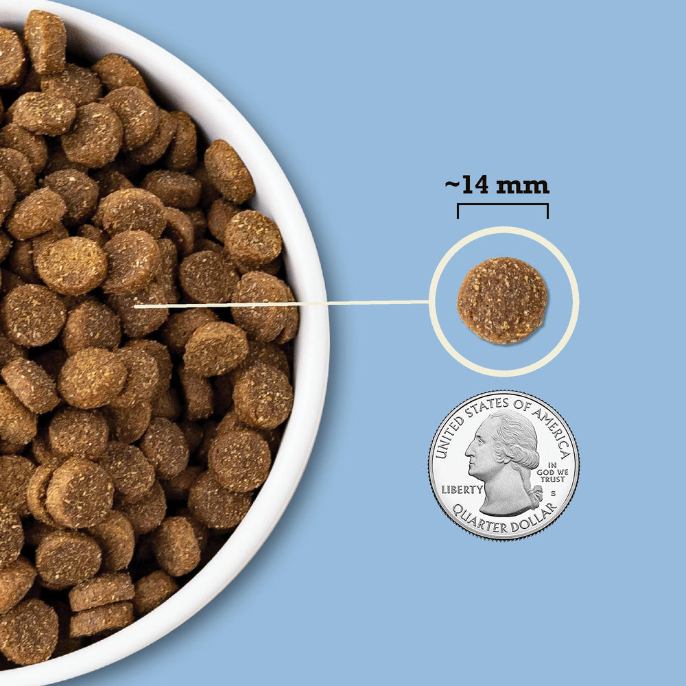 ACANA oats and grains blend shown on ingredient panel.