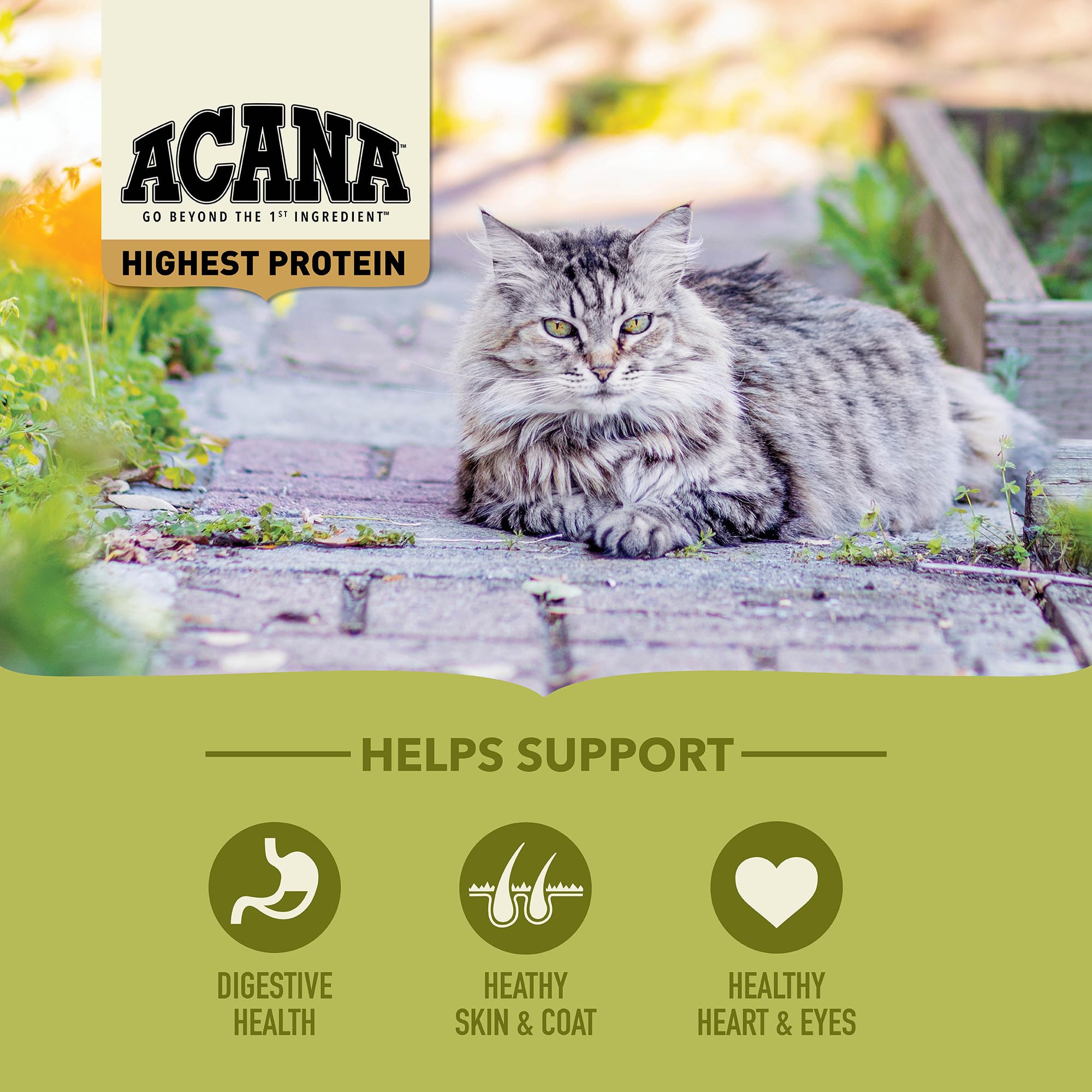 ACANA Grasslands kibble close-up highlighting protein-rich texture.