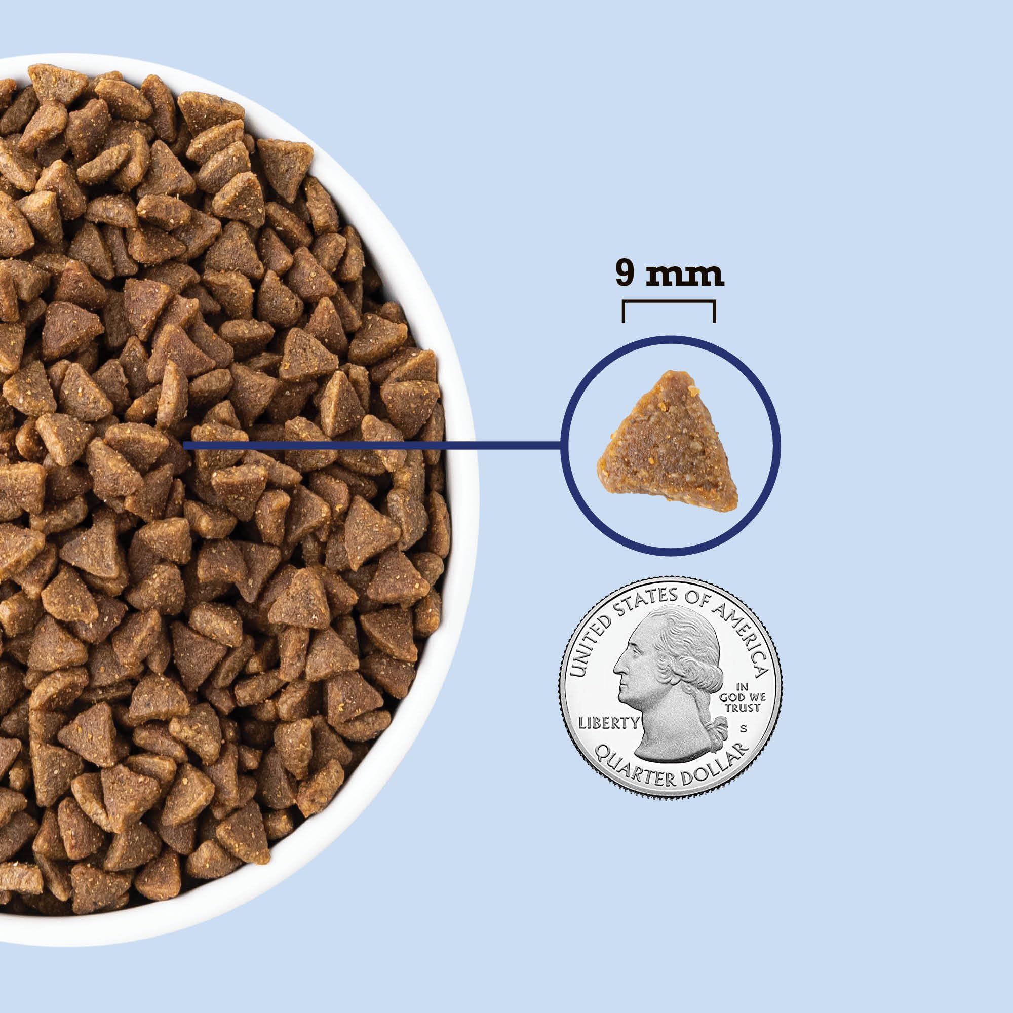 ACANA Indoor Entrée ingredients label highlights quality fish sources.