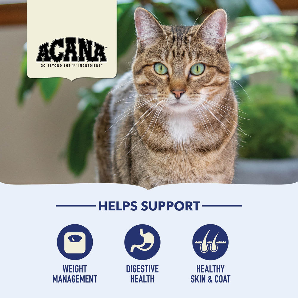 ACANA Indoor Entrée raw salmon image emphasizing premium fish protein.