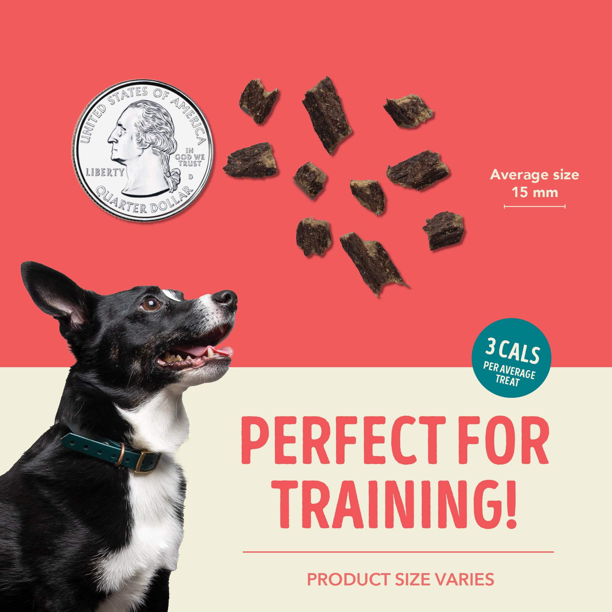 ACANA Jerky Bites dog enjoying treat during training