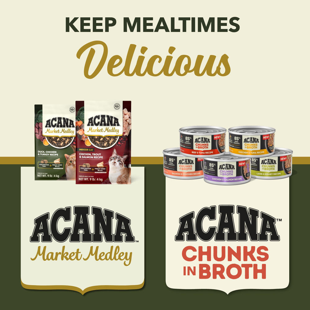 ACANA Market Medley kibble texture close up highlights crunchy bite.