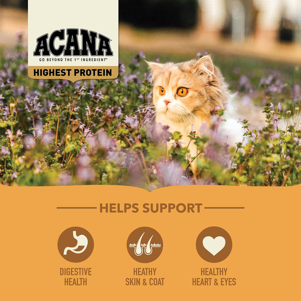 ACANA Meadowlands serving kibble on a plate for everyday feeding