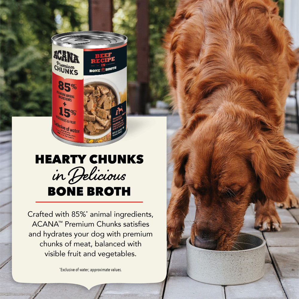ACANA Dog enjoying meal time image highlights feeding ease.